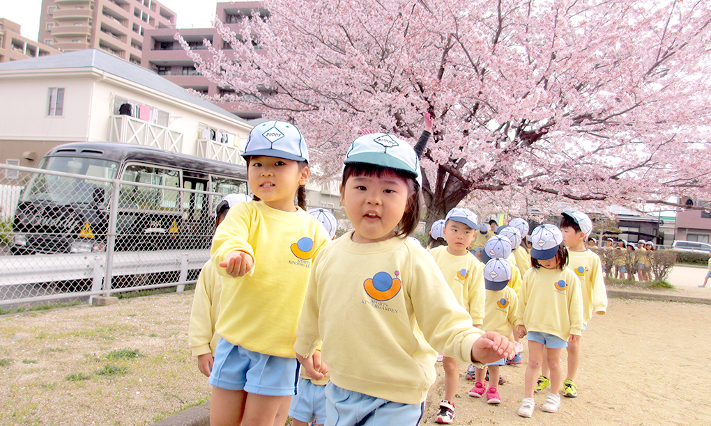 桜の花の前を通る園児たち